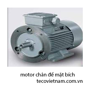 motor-chande-matbich-teco